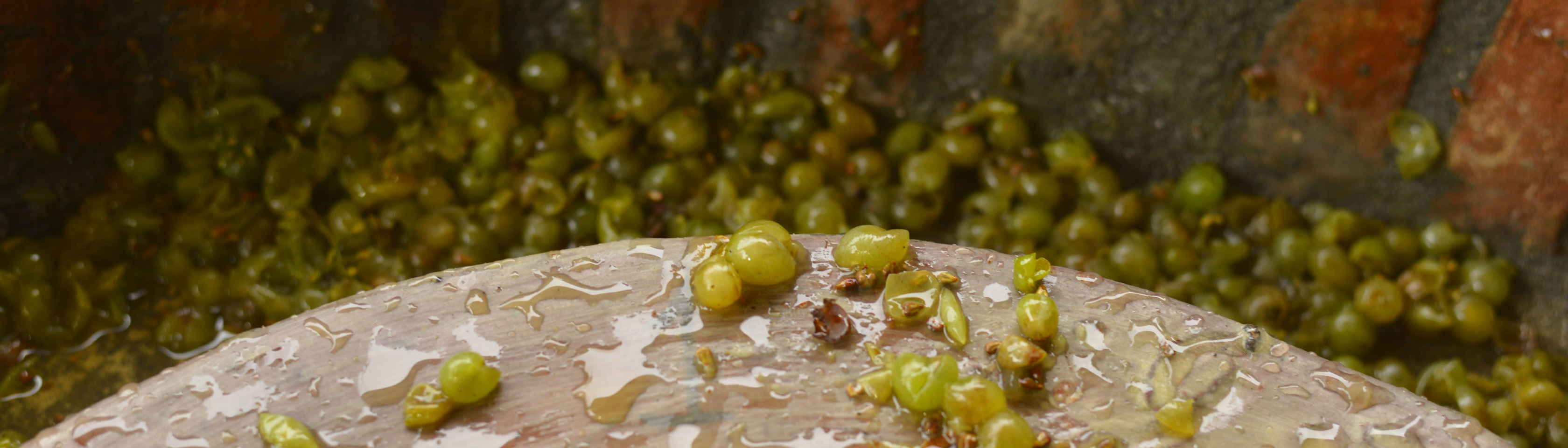 Winery energy and water management