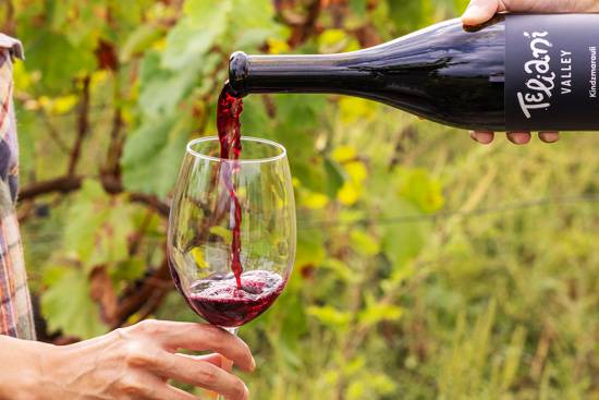 Wine tasting at Teliani Valley
